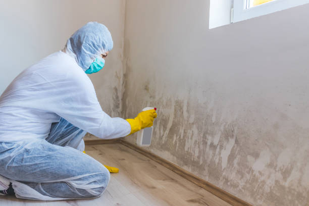 Licensed Mold Testing service in State College, PA - WQB Mold Removal