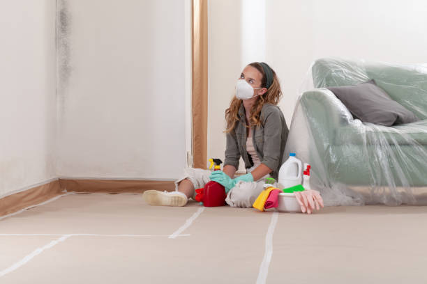 Reliable Mold Testing contractor in State College, PA by WQB Mold Removal